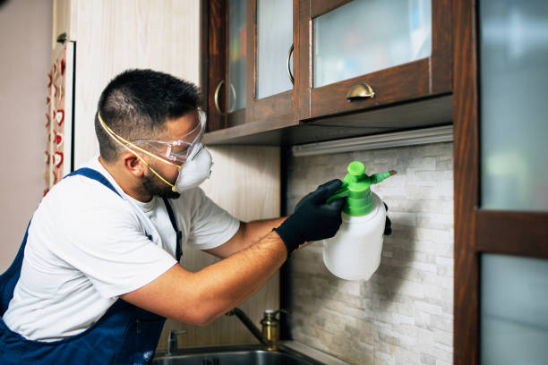 Best Cockroach Control Services  in New London, TX