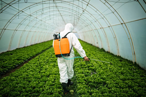 Best Commercial Pest Control Services  in New London, TX