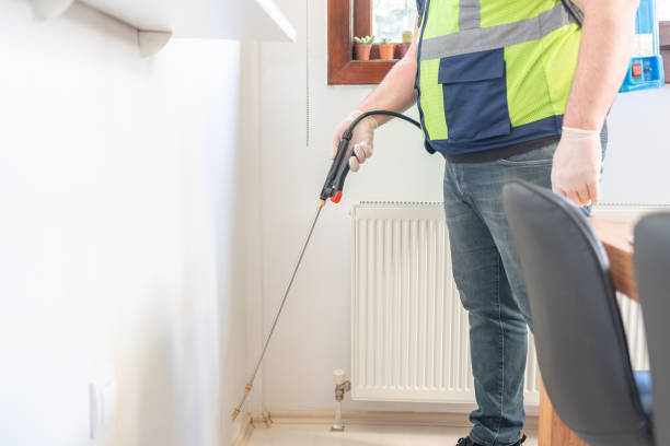 Best Pest Control for Homes  in New London, TX